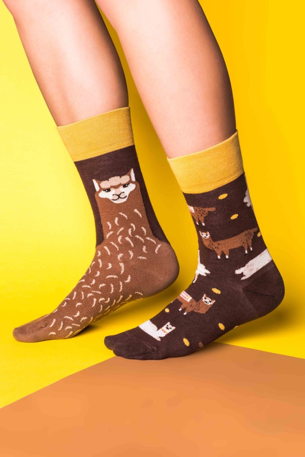 Colorfull socks in professional studio photoshoot