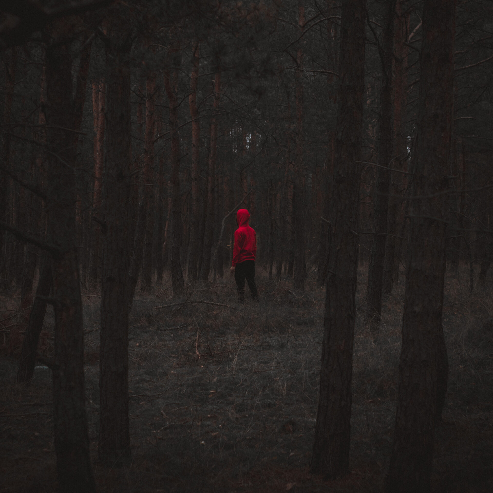 Michał Lickiewicz, CEO of MLCK